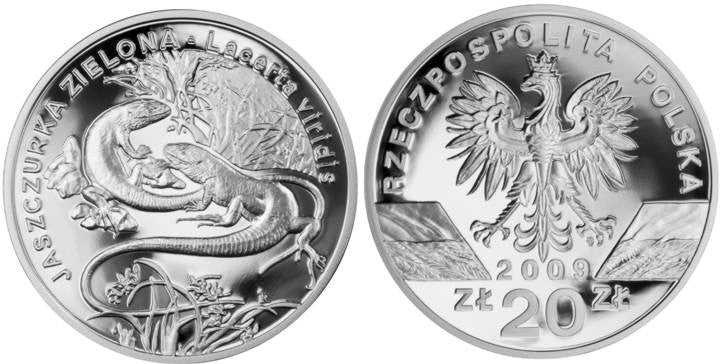 20 zł Jaszczurka zielona (łac. Lacerta viridis) 2009