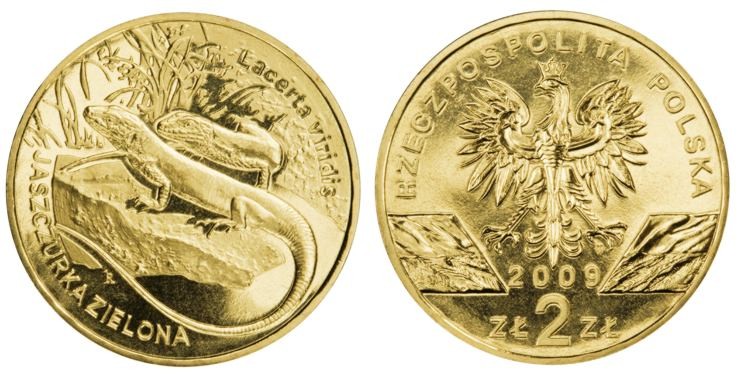 2 zł Jaszczurka zielona (łac. Lacerta viridis) 2009