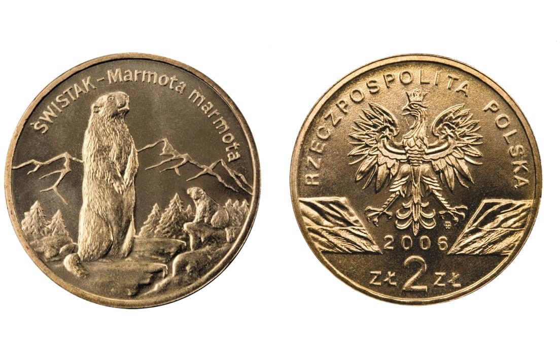 2 zł Świstak (łac. Marmota marmota) 2006