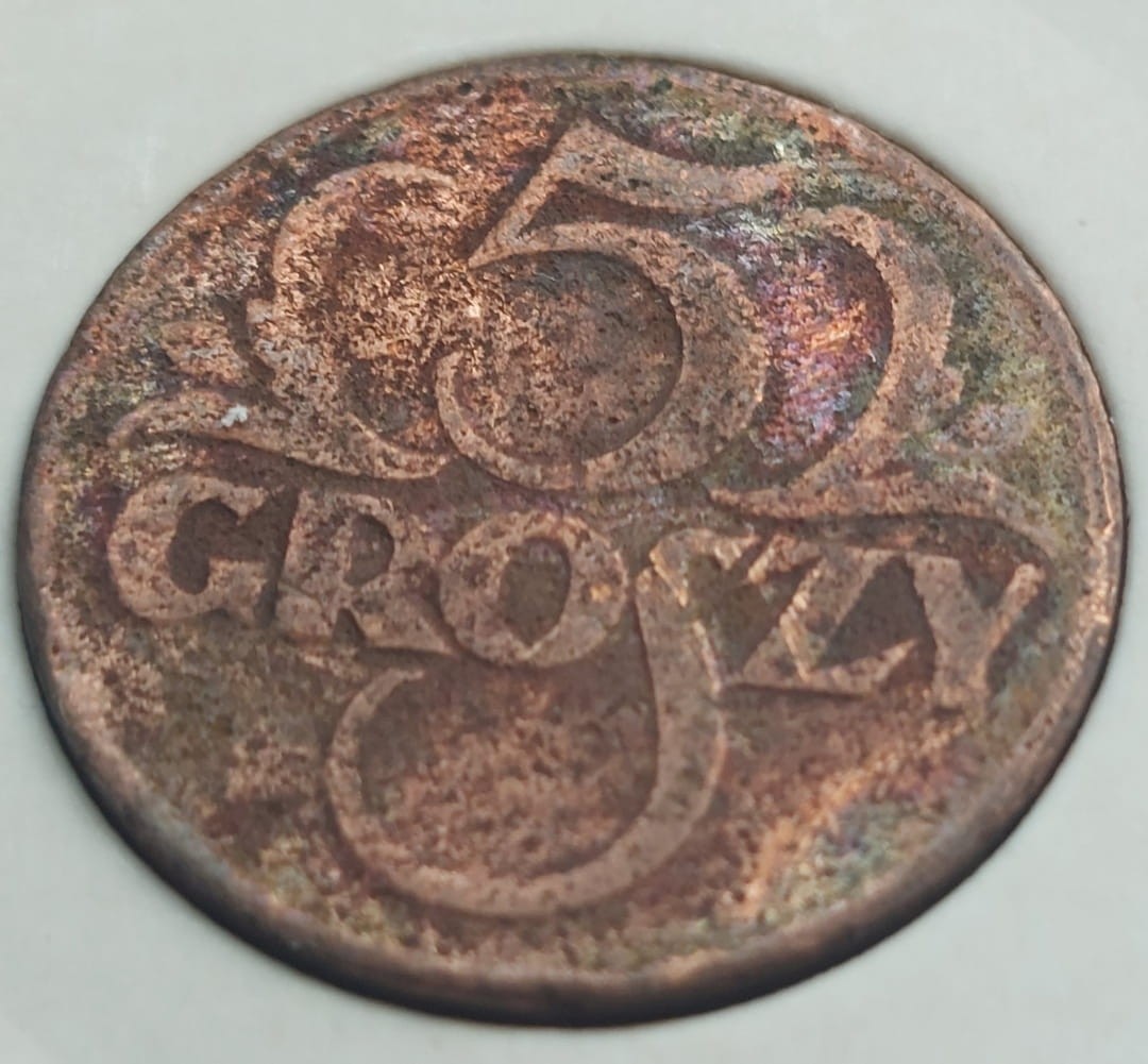 5 groszy 1923
